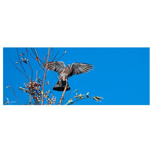 PHOTO84, CLUB, 84 , LUBERON